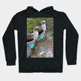 Though we be blue-footed Hoodie